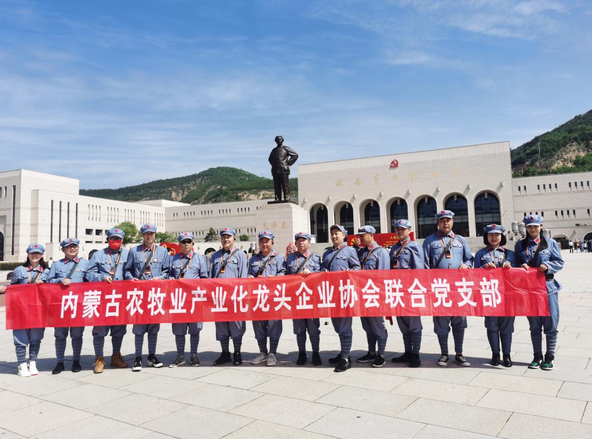 买球赛十大平台（中国）官方网站农牧业产业化龙头企业买球赛十大平台（中国）官方网站联合党支部赴延安革命圣地开展“学党史、感党恩、跟党走”主题党日活动